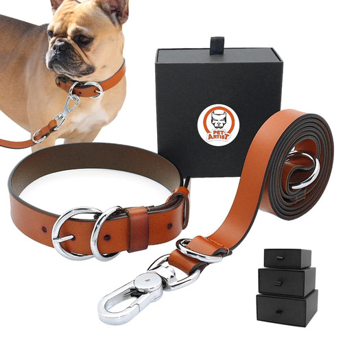 Collar and Leash Set Adjustable For Small Medium Large Dogs (Pitbull, Boxer, Bulldog)