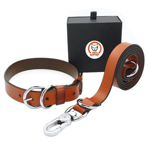 Collar and Leash Set Adjustable For Small Medium Large Dogs (Pitbull, Boxer, Bulldog)