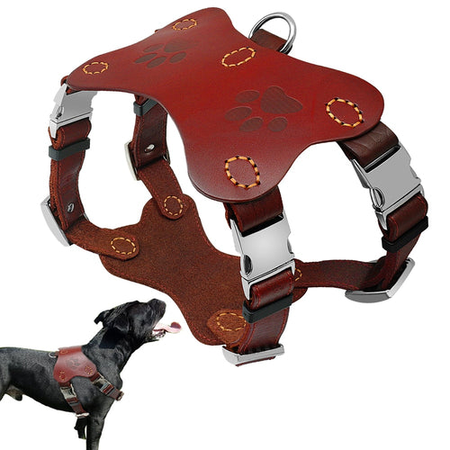 Training Harness for Large Dogs
