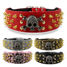 Load image into Gallery viewer, Skull Collar