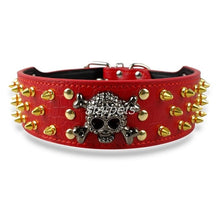 Load image into Gallery viewer, Skull Collar