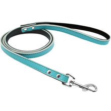 Load image into Gallery viewer, 5 Colors Leather Dog Leash