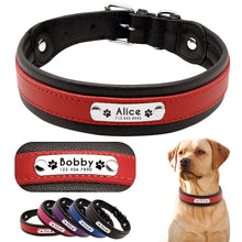 Load image into Gallery viewer, Personalized Dog Collar