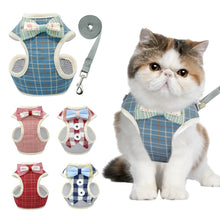Load image into Gallery viewer, Cute Cat Harness and Leash Set