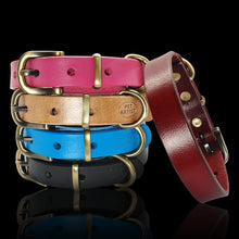 Load image into Gallery viewer, Adjustable Collar For Small-Medium Dogs (Pug,  French Bulldog)