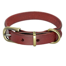 Load image into Gallery viewer, Adjustable Collar For Small-Medium Dogs (Pug,  French Bulldog)