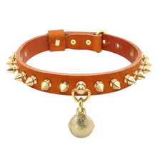 Load image into Gallery viewer, For Pitbull French Bulldog XS S M L