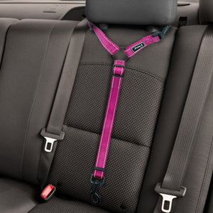 Dog Seat Belt Leash Adjustable