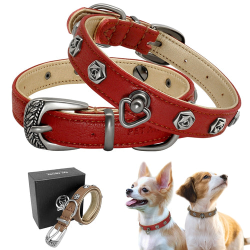 For Small-Medium Dogs Collars